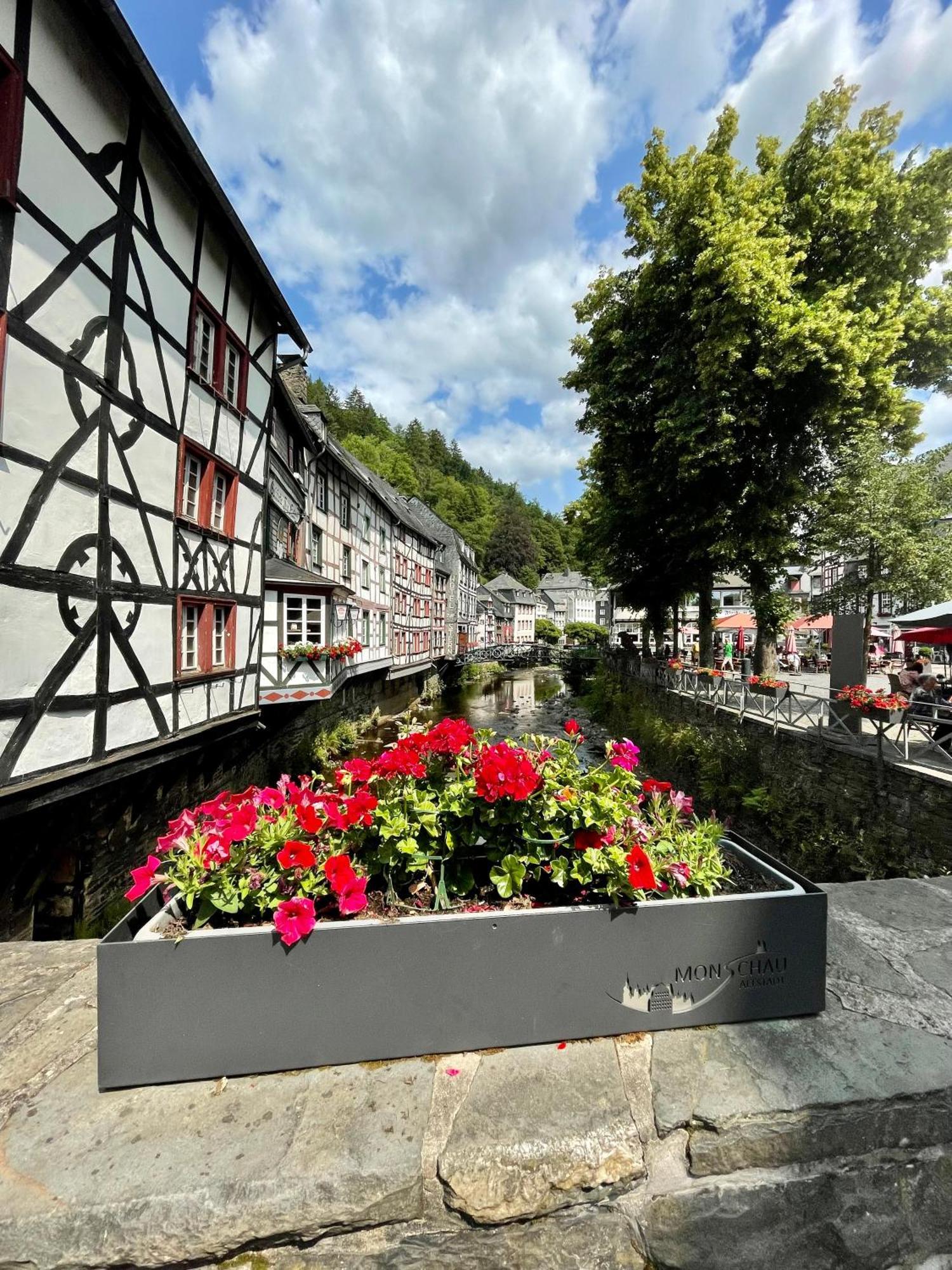 City Apartments Monschau Eksteriør bilde